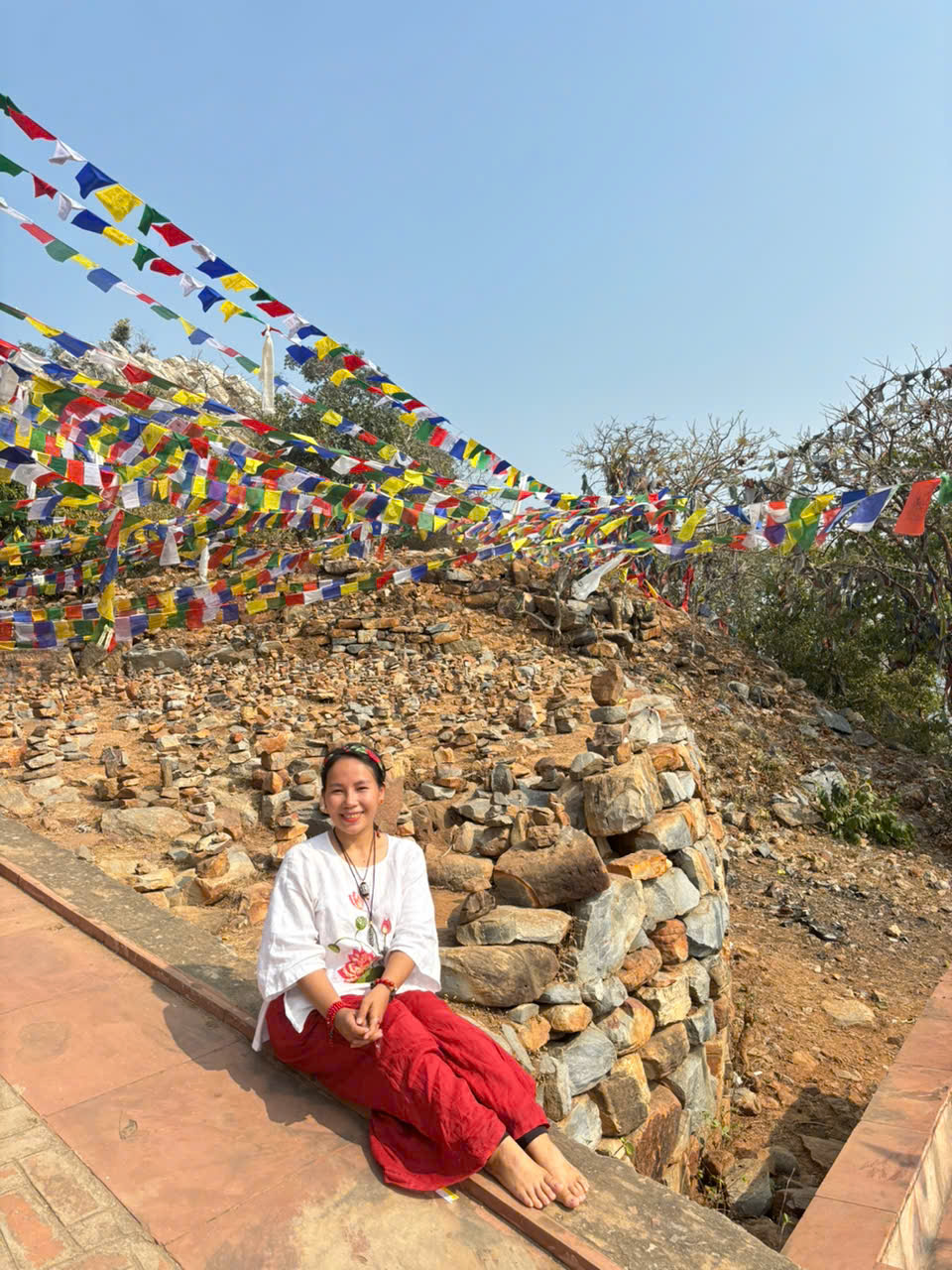 31c893e4a641161f4f5073